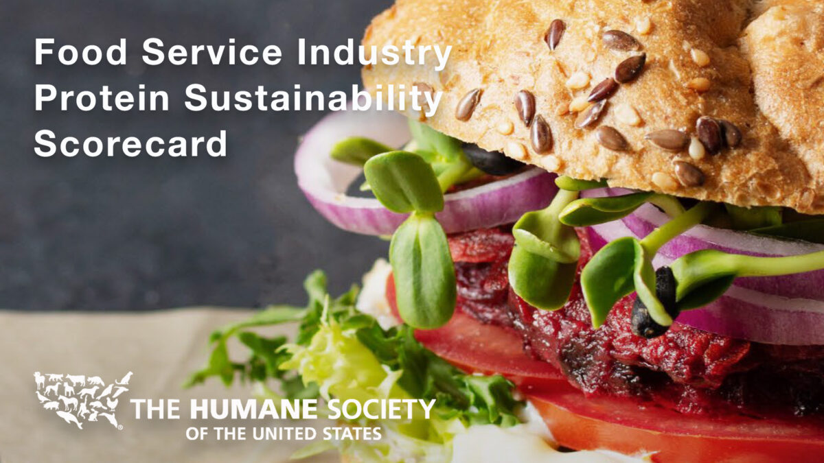 Humane Society Protein Sustainability Scorecard Places SFE in Top 5 for