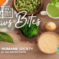 SFE Pilots Plant-Based Meals Alongside Humane Society of the U.S.